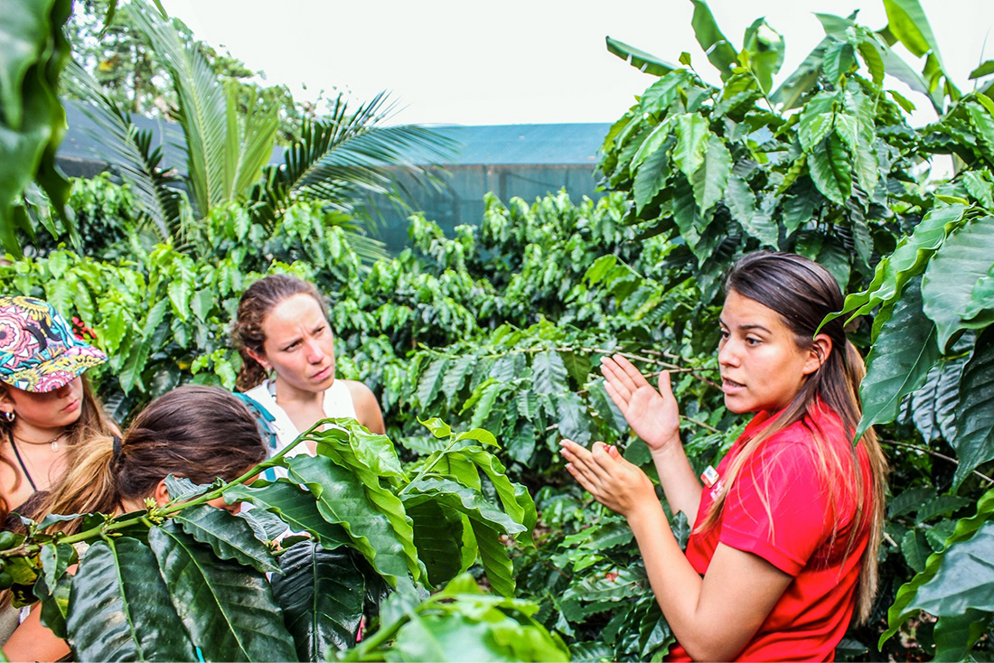 Hidalga explaining coffee cultivation